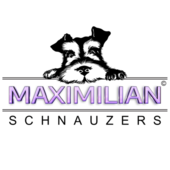 Maximilian Schnauzers