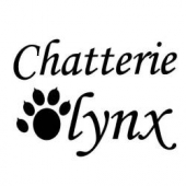 Chatterie de l’Olynx