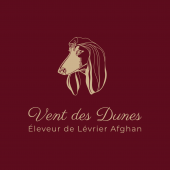 Vent de Dunes