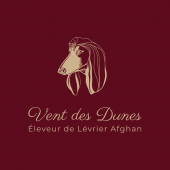 Vent des Dunes